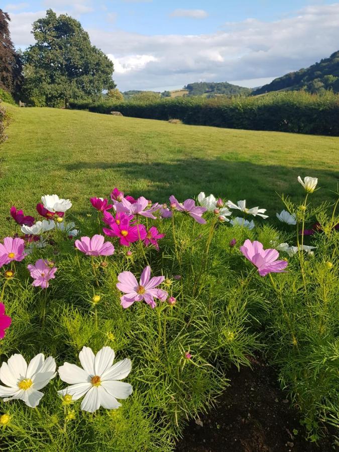 Eastwrey Barton Country House Lustleigh ภายนอก รูปภาพ
