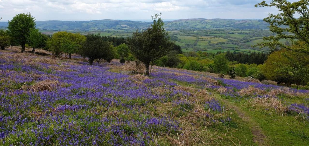 Eastwrey Barton Country House Lustleigh ภายนอก รูปภาพ